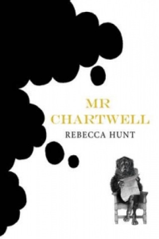 Book Mr Chartwell Rebecca Hunt