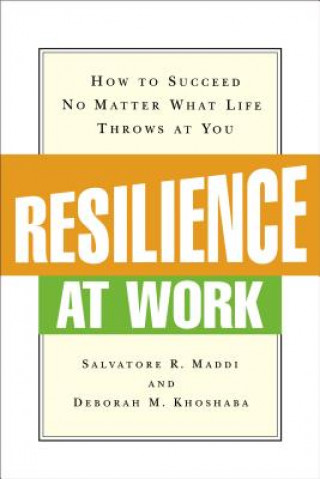Carte Resilience at Work Salvatore R Maddi