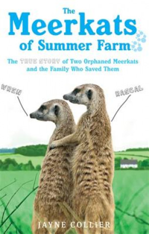 Kniha Meerkats Of Summer Farm Jayne Collier