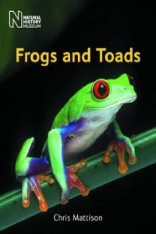 Buch Frogs and Toads Chris Matteson