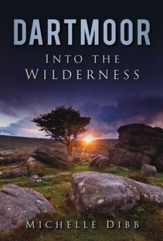 Libro Dartmoor: Into the Wilderness Michelle Dibb