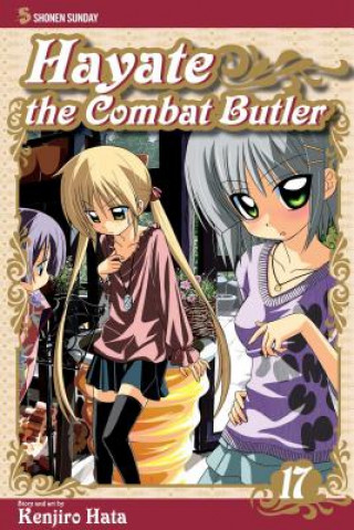 Kniha Hayate the Combat Butler, Vol. 17 Kenjiro Hata