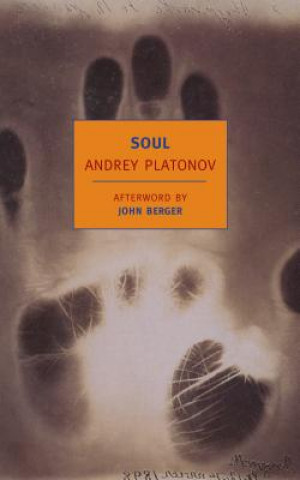 Book Soul Audrey Platonov