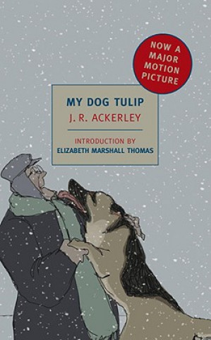 Kniha My Dog Tulip JR Ackerley