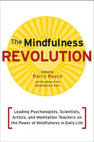 Książka Mindfulness Revolution Barry Boyce