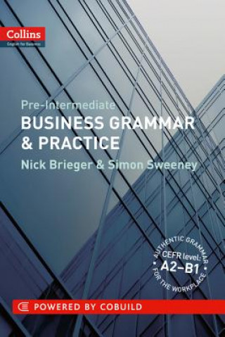 Könyv Business Grammar and Practice Nick Brieger