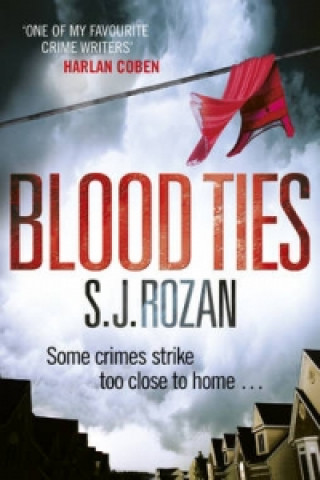 Kniha Blood Ties S J Rozan