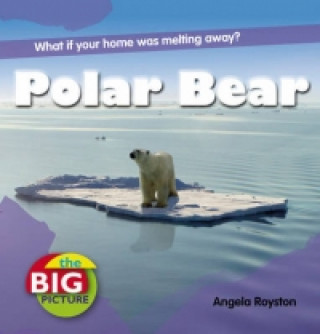 Carte Polar Bear Anita Ganeri