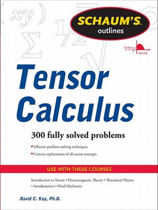 Kniha Schaums Outline of Tensor Calculus David Kay