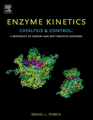 Könyv Enzyme Kinetics: Catalysis and Control Daniel L Purich