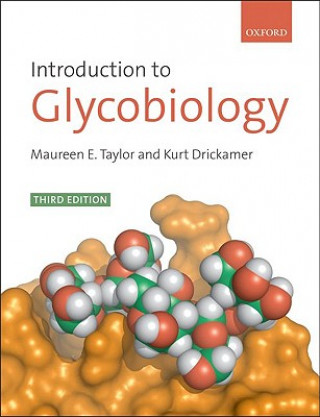 Könyv Introduction to Glycobiology MaureenE Taylor