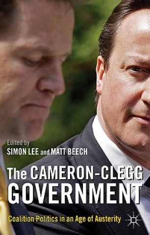 Kniha Cameron-Clegg Government Matt Beech