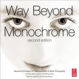 Könyv Way Beyond Monochrome 2e Ralph W Lambrecht