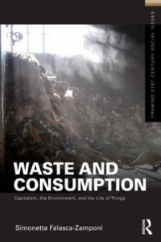 Книга Waste and Consumption Simonetta Falasca-Zamponi