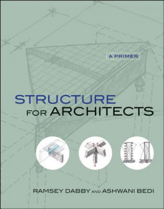 Kniha Structure for Architects - A Primer Ramsey Dabby