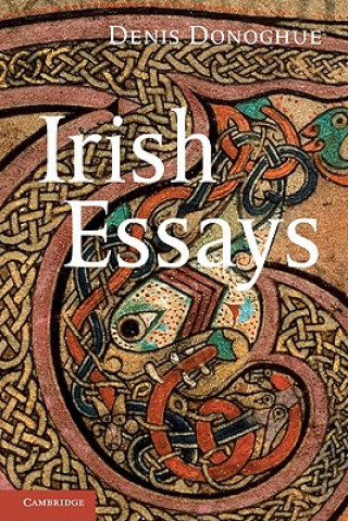 Kniha Irish Essays Denis Donoghue