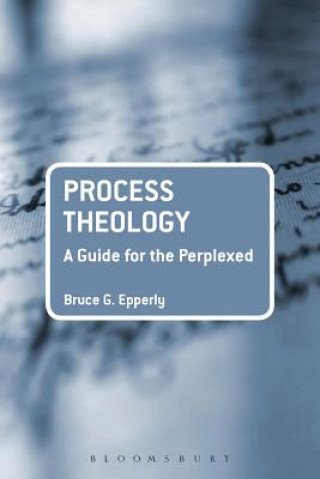 Livre Process Theology: A Guide for the Perplexed BruceG Epperly