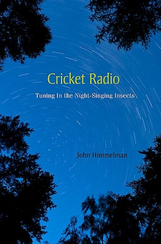 Könyv Cricket Radio John Himmelman