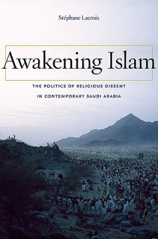 Kniha Awakening Islam Stéphane Lacroix