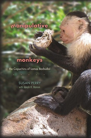 Carte Manipulative Monkeys Susan Perry