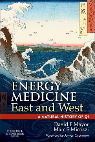 Könyv Energy Medicine East and West David Mayor