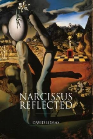 Knjiga Narcissus Reflected David Lomas