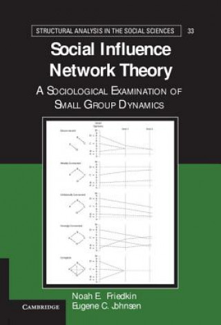 Książka Social Influence Network Theory Noah E Friedkin