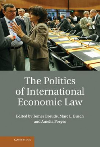 Kniha Politics of International Economic Law Tomer Broude