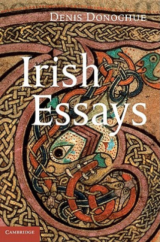 Książka Irish Essays Denis Donoghue