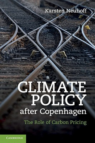 Kniha Climate Policy after Copenhagen Karsten Neuhoff