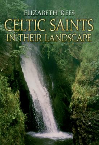 Carte Celtic Saints In Their Landscape Elizabeth Rees
