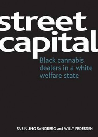 Kniha Street capital Hugh Bochel