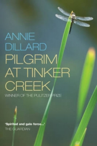 Kniha Pilgrim at Tinker Creek Annie Dillard