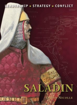 Kniha Saladin David Nicolle