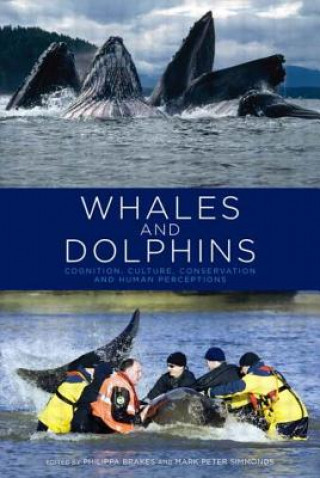 Книга Whales and Dolphins Simmonds