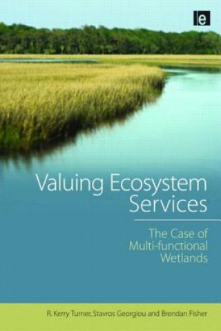 Kniha Valuing Ecosystem Services Turner