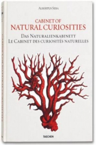 Könyv Seba. Cabinet of Natural Curiosities Irmgard Musch