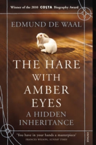Kniha Hare With Amber Eyes Edmund Waal