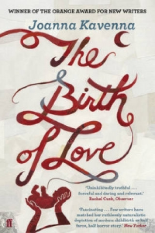 Könyv Birth of Love Joanna Kavenna
