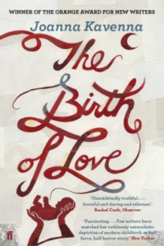 Buch Birth of Love Joanna Kavenna