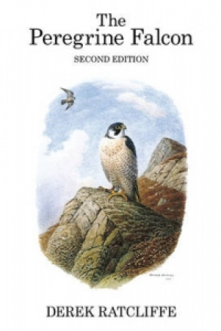 Книга Peregrine Falcon Derek A Ratcliffe