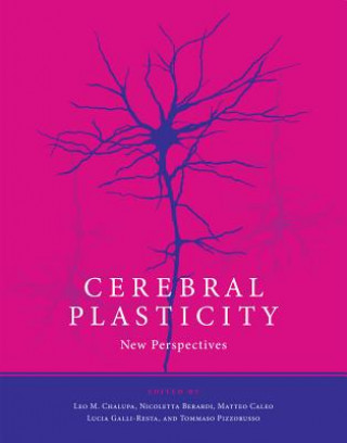 Knjiga Cerebral Plasticity Leo M Chalupa
