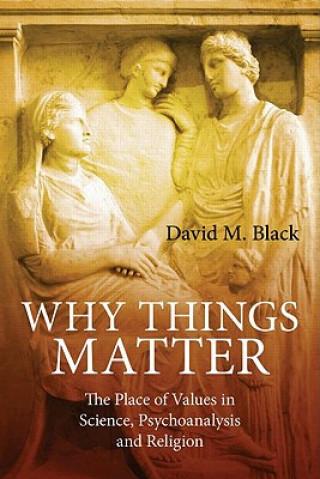 Buch Why Things Matter David Black