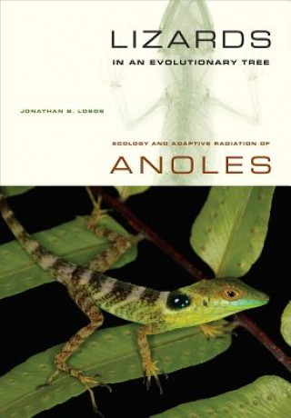 Kniha Lizards in an Evolutionary Tree Jonathan Losos