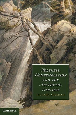 Книга Idleness, Contemplation and the Aesthetic, 1750-1830 Richard Adelman