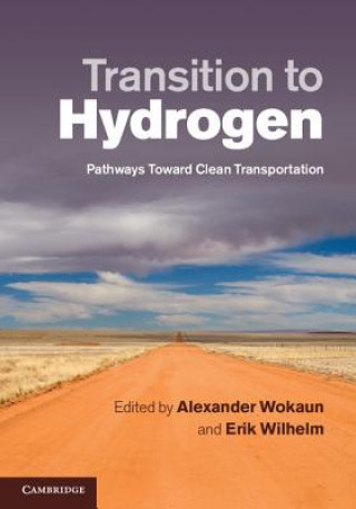 Книга Transition to Hydrogen Alexander Wokaun