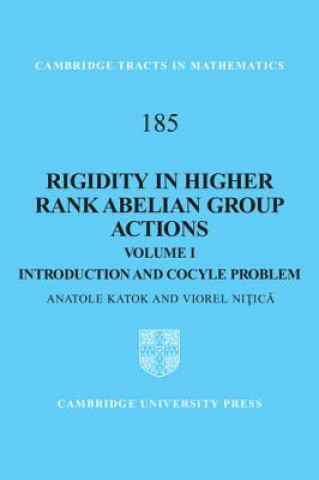 Könyv Rigidity in Higher Rank Abelian Group Actions: Volume 1, Introduction and Cocycle Problem Anatole Katok