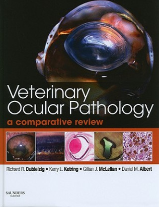 Könyv Veterinary Ocular Pathology Sheila M Crispin