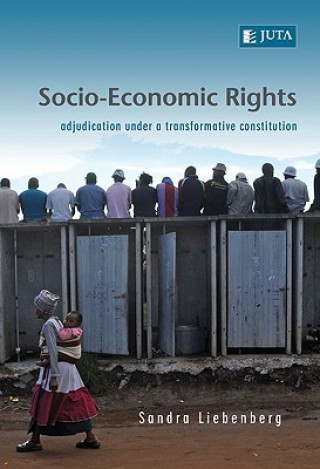 Buch Socio-economic rights Sandra Liebenberg