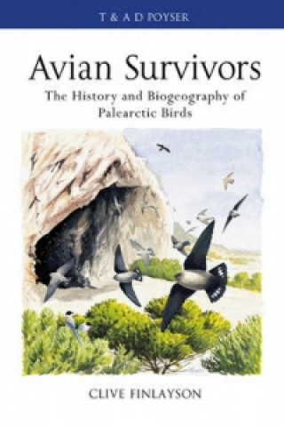 Kniha Avian survivors Clive Finlayson